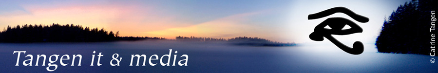 Tangen it & media - ett kunskapsf�retag inom it, data och kommunikation