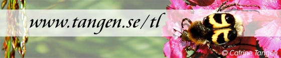Don�t let internets bad sides bug you!